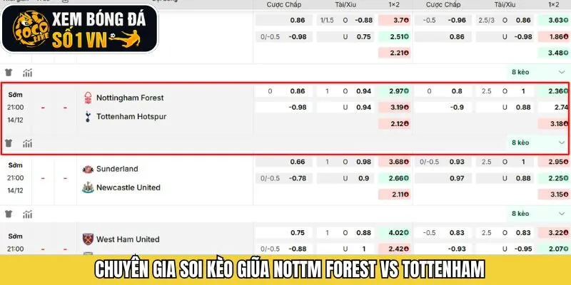 Nhận định soi kèo của cuộc đối đầu Nottm Forest vs Tottenham