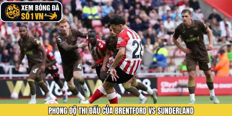 Đánh giá phong độ hiện tại Brentford vs Sunderland